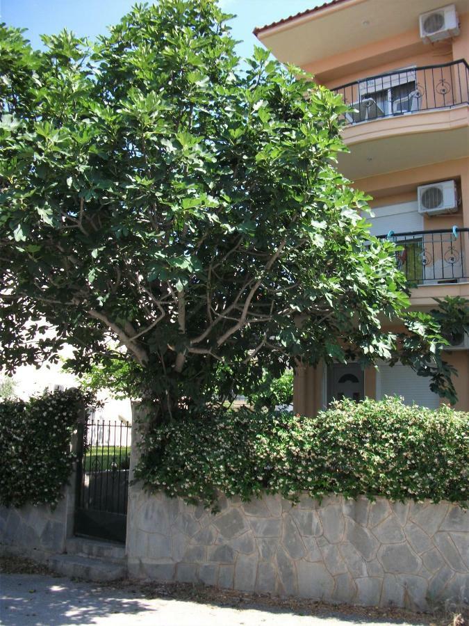 شقة Fani House Kallithea  المظهر الخارجي الصورة